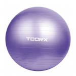 Gimnast. kamuolys 75cm TOORX AHF-013 +pompa