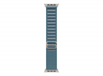 Apple 49mm Light Blue Alpine Loop - Medium - Natural Titanium Finish | Apple