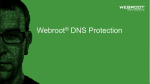 Webroot | DNS Protection with GSM Console | 1 year(s) | License quantity 1-9 user(s)