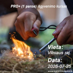 I&scaron;gyvenimo kursas PRO+ (1 paros), Vilniaus raj, 2026-07-25