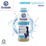 Oralade GI Support izotoninis gėrimas &scaron;unims ir katėms 500 ml