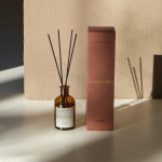 Cinque Sensi - TERRACOTTA - Namų kvapas su lazdelėmis, 100ml