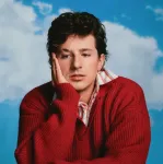 Vinilinė plok&scaron;telė - Charlie Puth - Whatever's Clever! LP