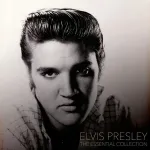 Vinilinė plok&scaron;telė - Elvis Presley - The Essential Collection LP
