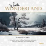 Vinilinė plok&scaron;telė - Various - Winter Wonderland (14 Christmastime Classics) LP (White Vinyl)