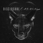 Disclosure - Caracal CD