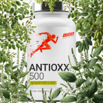 Dion ANTIOXX 500 30 kapsulės