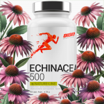 Dion ECHINACEA 500 Ežiuolės Ekstraktas 60 kapsulės