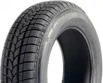 Taurus Winter (Rim Fringe Protection) 225/55 R17