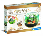 Kūrybos rinkinys Harry Potter Hagrids Hut Terrarium