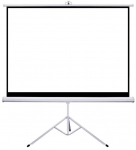 Projektoriaus ekranas Sponge Silelis Tripod, 1:1