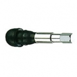 ⬡ Chromuotas ventilis (100 vnt.) (TR413C)