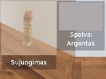 Grindjuostė termoplasto Vox, (63) argentas | Sujungimas SMART FLEX / IZZI