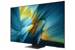 TELEVIZORIUS QE55S95FATXXH SAMSUNG