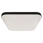 &Scaron;viestuvas plafonas Milagro NEMO, 16 W, LED, IP44 ML7971