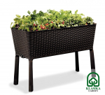 Pakeltas vazonas EASY GROW - Ruda