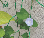 Tinklas lipantiems augalams - 1,80 x 2,70 m