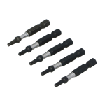 Antgaliai smūginiai TORX 5vnt. Draumet | T15