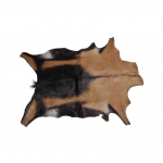 Ožkos kailis, 55 x 70 cm