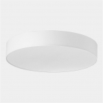 &Scaron;viestuvas lubų TK Lighting Rondo 2443, 90 W, E27S