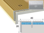 Profilis Effector A33 laiptams | sidabrinis 180 cm 40x20 mm