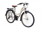 Dviratis miesto VISION-HOLIDAY, 28 ", rudas
