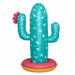 Sodo vandens žaidimas Bestway Cactus, 52733, 74 cm x 56 cm