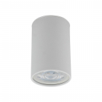 &Scaron;viestuvas lubų TK Lighting Top 5766, GU10, baltas