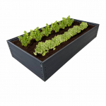 NAUJIENA! GPPS pakelta lysvė KLASIKA Woodlook - Ruda - 150 x 50 x 30 cm