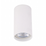 &Scaron;viestuvas lubų TK Lighting Tune 10023, GU10, baltas