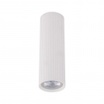&Scaron;viestuvas lubų TK Lighting Tune 10025, GU10, baltas