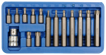 Antgalių rinkinys 15vnt. TORX CrV Vorel | T20, T25, T30, T40, T45, T50, T55