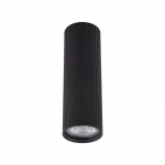 &Scaron;viestuvas lubų TK Lighting Tune 10024, GU10, juodas