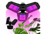 Fitolempa 108 LED