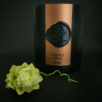 Žiba collection žvakė, 220ml - Tabokinis medus