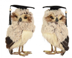 Kalėdinė dekoracija Decoris Owl 704626, 28 cm, ruda