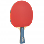 Stalo Teniso Raketė JOOLA Team Premium