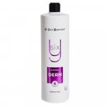 Iv San Bernard Shampoo Derm Y6 1000ml - profesionalus &scaron;unų ir kačių &scaron;ampūnas problemati&scaron;kai odai