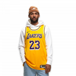 Nike NBA Los Angeles Lakers Icon Swingman