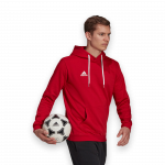 adidas Entrada 22 Sweat Hoody