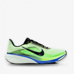 Nike Pegasus 42