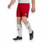 adidas Entrada 22 Shorts