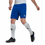 adidas Entrada 22 Shorts