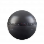 Pure Gym Ball 75cm