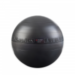 Pure Gym Ball 65cm
