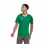 adidas Entrada 22 Jersey