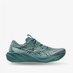 Asics GT-2000 15