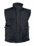 Tiltas Veste Bebras