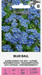 ALPINĖS NEUŽMIR&Scaron;TUOLĖS BLUE BALL