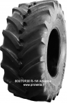 Padanga IF800/70R38 R1W Advance 179D TL, IF 800/70 R38